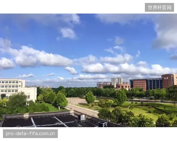 封闭的生态系统：一旦选定某品牌的联动控制方案，体育馆是否就丧失了后期升级和维护的议价权？